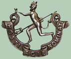 Diane's account of WW2 Winnipeg Rifles pin