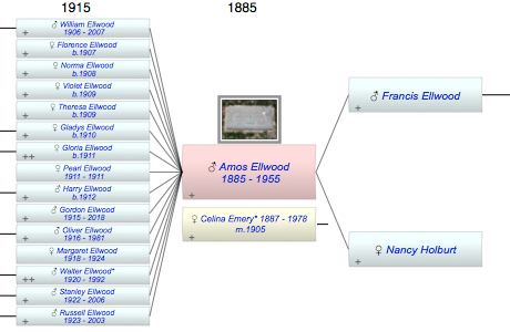 Amos Francis Ellwood