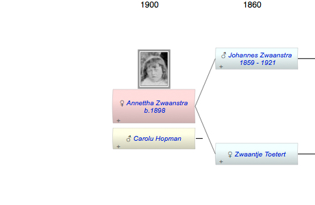 Annettha Wilhelmina Zwaanstra