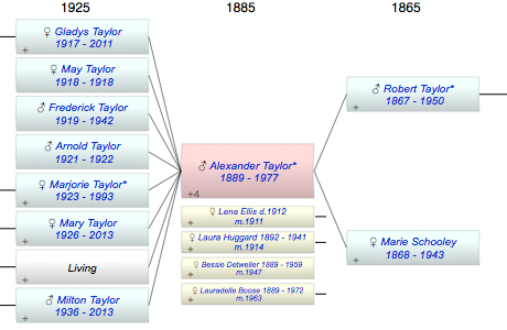Alexander Monroe Taylor*