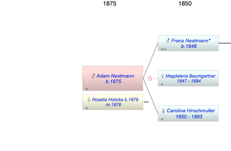 Adam Nestmann