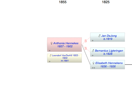 Anthonia Willemina Hennekes