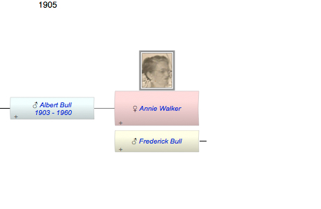 Annie Eliza Walker