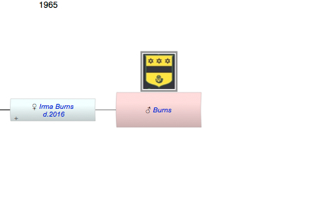 Burns