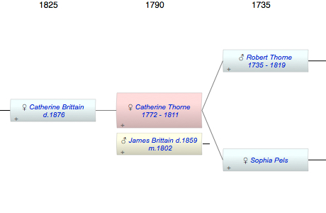 Catherine Ann Thorne