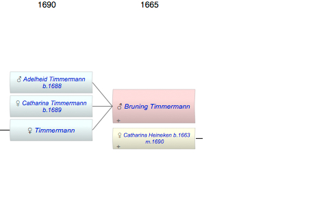 Bruning Timmermann