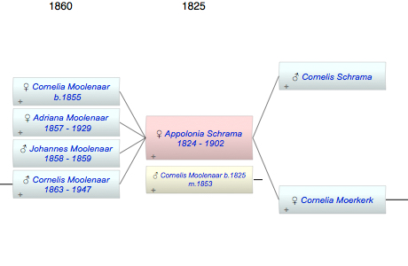 Appolonia Schrama