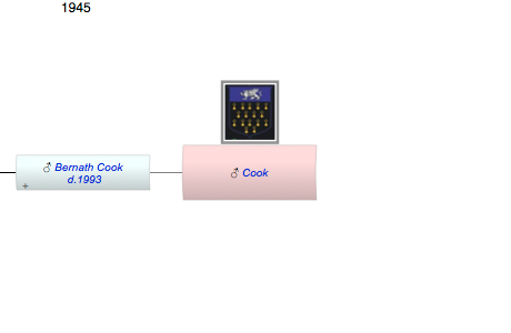 Cook