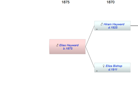 Elias S Hayward
