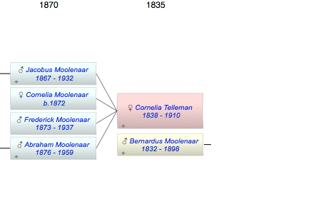 Cornelia Telleman