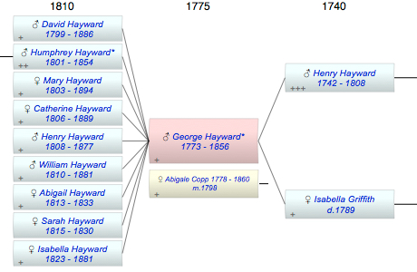 George Griffith Hayward*