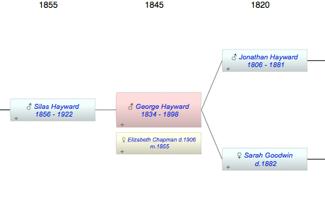 George N Hayward