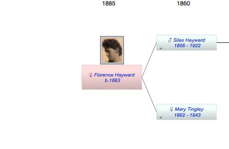 Florence Alberta Hayward