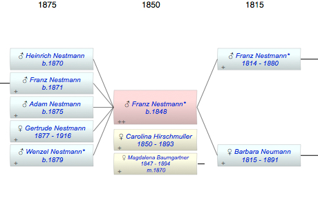 Franz Nestmann*