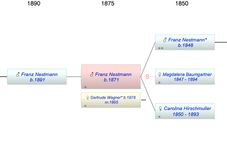 Franz Nestmann