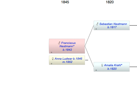 Franciscus Nestmann*