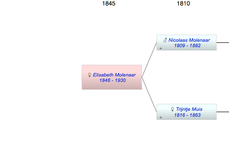Elisabeth Molenaar
