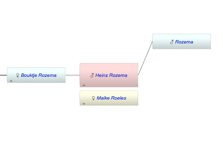 Heinz Rozema
