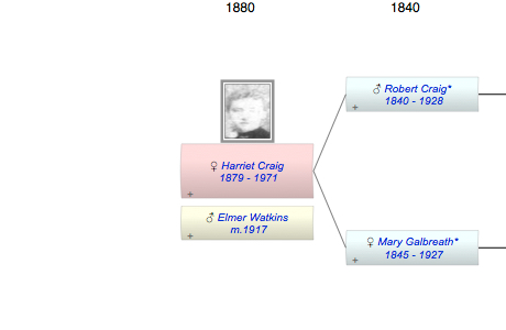 Harriet Helen Craig