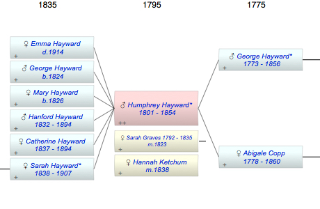 Humphrey Hayward*