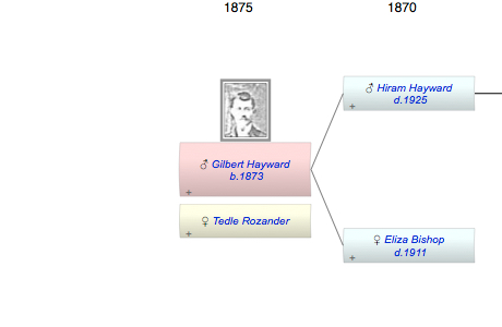 Gilbert Hayward