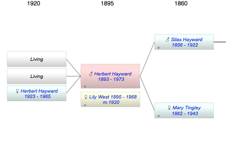 Herbert Thorne Hayward