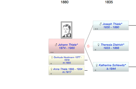 Johann Thiele*