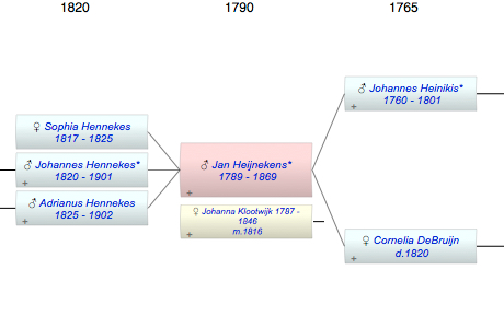 Jan Heijnekens*