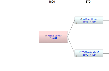 Jessie Taylor