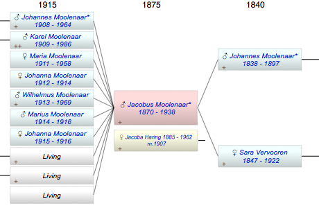 Jacobus Johannes Moolenaar*