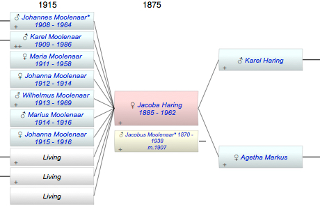 Jacoba Johanna Haring