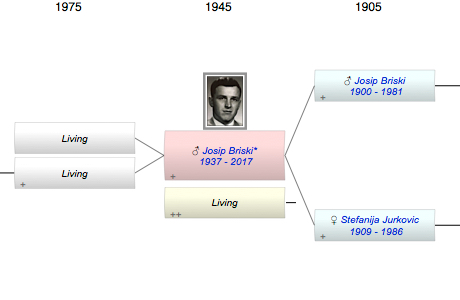 Josip Briski*
