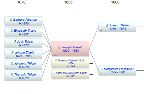 Joseph Thiele*
