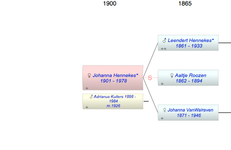 Johanna Hendrika Hennekes*