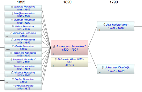 Johannes Hennekes*