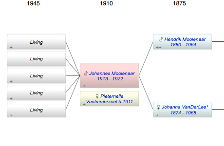Johannes Hendrik Martinus Moolenaar
