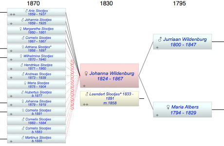 Johanna Wildenburg