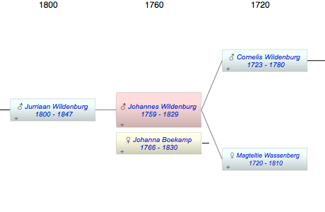 Johannes Cornelisz Wildenburg