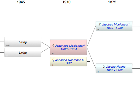 Johannes Jacobus Moolenaar*
