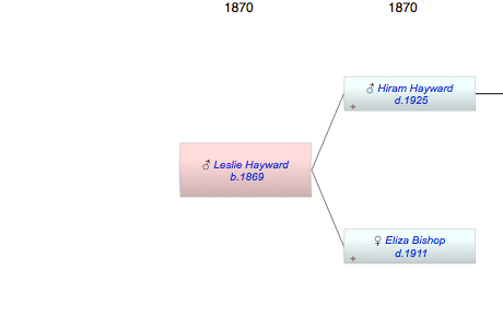 Leslie John Hayward