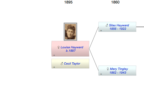 Louisa Hope Hayward