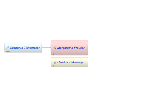 Margaretha Petronella Freuller
