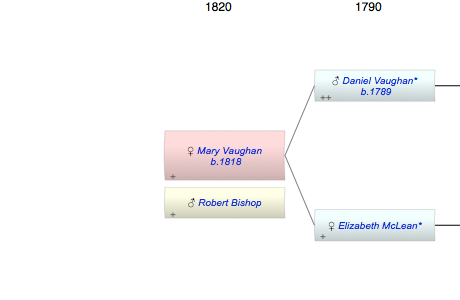Mary Vaughan