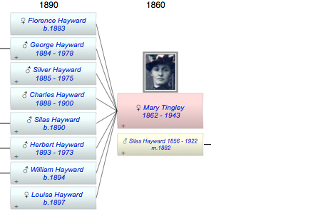 Mary Louisa Tingley