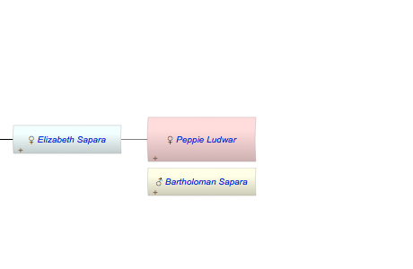 Peppie Ludwar