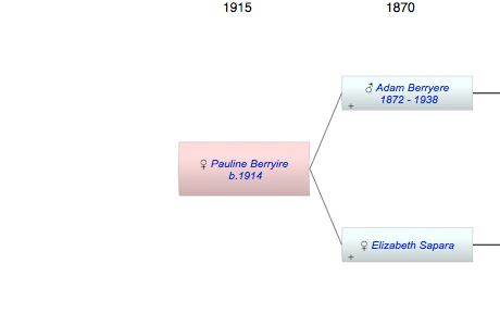 Pauline Berryire