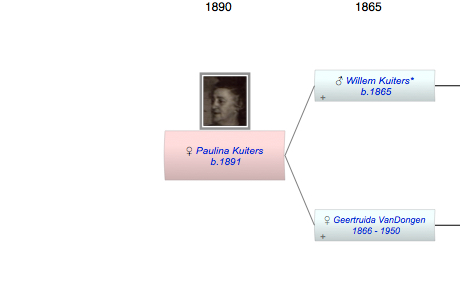 Paulina Wilhelmina Cornelis Kuiters
