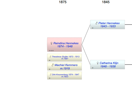 Reindina Pieternella Catharina Sophia Hennekes