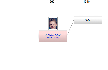Sinisa Briski