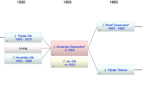 Zwaantje Zwaanstra*